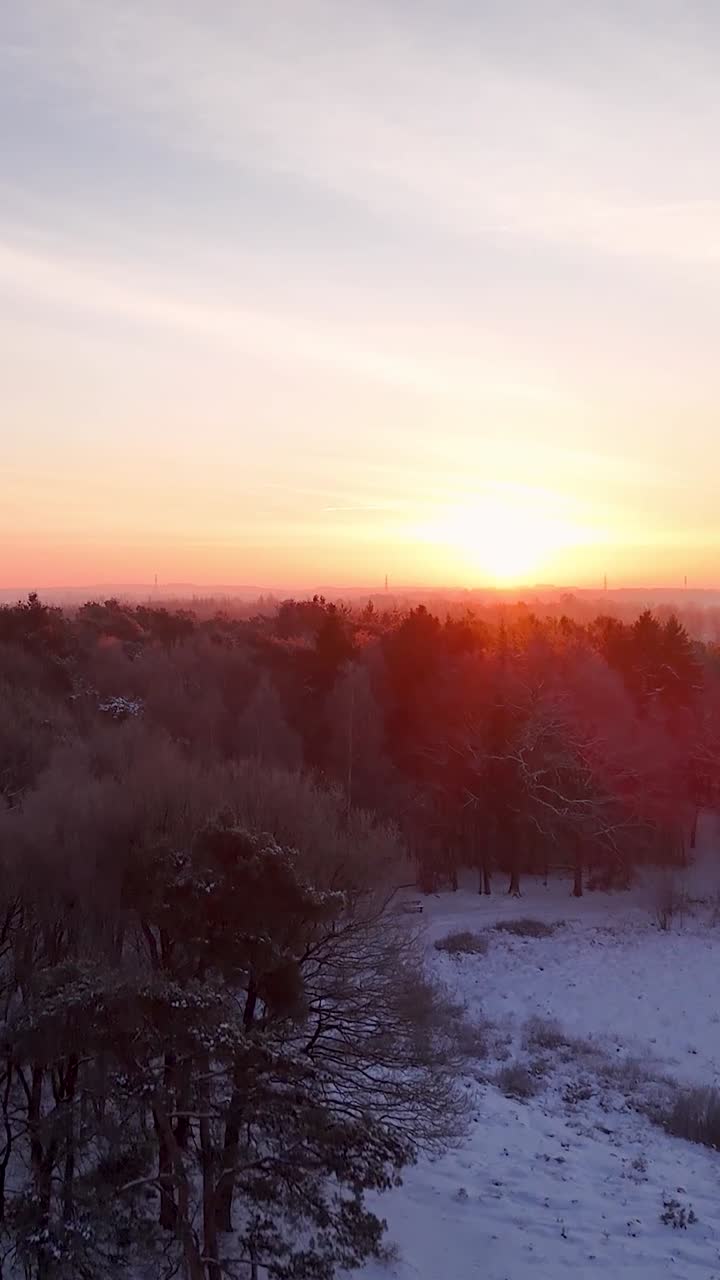 Vista Aérea de Floresta Invernal Nevosa ao Nascer do Sol
