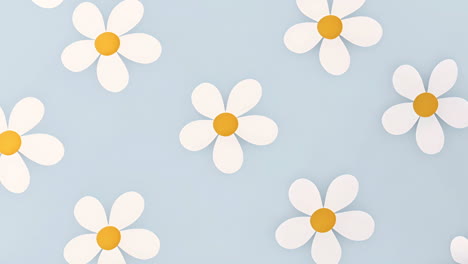 white daisies with yellow centers animation on light blue background