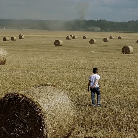 child boy in the field