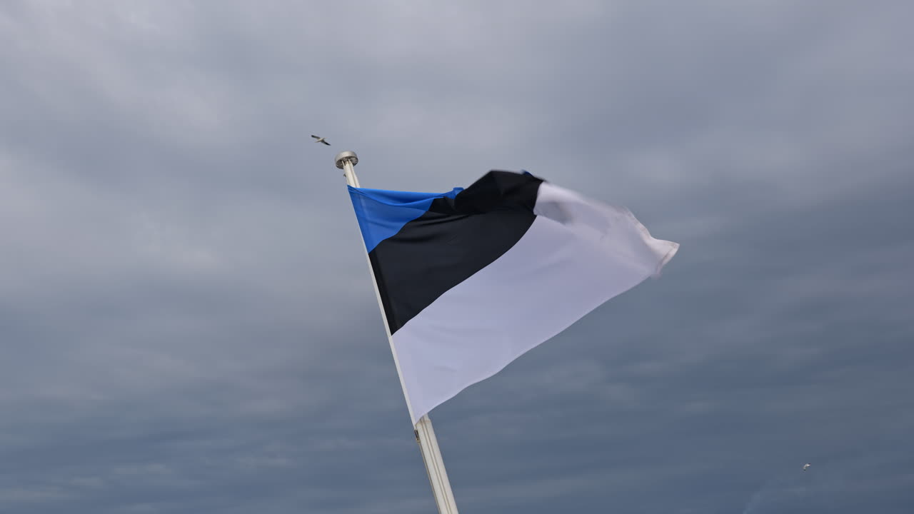 Flag of Estonia in wind against cloudy sky. Blue, black and white horizontal tricolour national flag