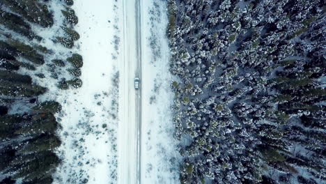 Luftaufnahme-Nach-Unten,-Während-Ein-Auto-Entlang-Einer-Winterstraße-Durch-Einen-Kiefernwald-Fährt