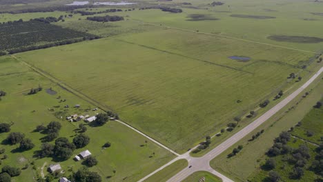 vista aérea de la vasta tierra plana de la plantación de la granja de cítricos