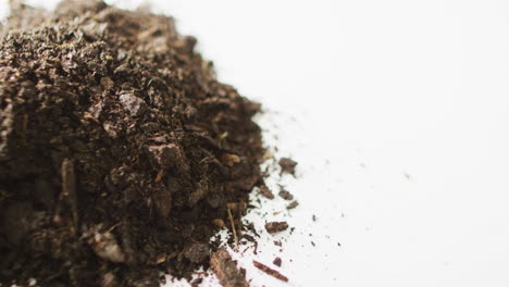 video of mound of dark organic soil and bark pieces, on white background with copy space