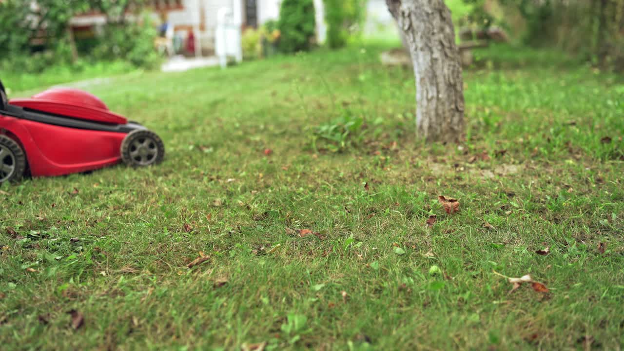 Cutting lawn mower. Gardener with lawn mower cuts grass on the lawn