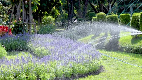 jardiner aguas flores vibrantes en el parque rama 9