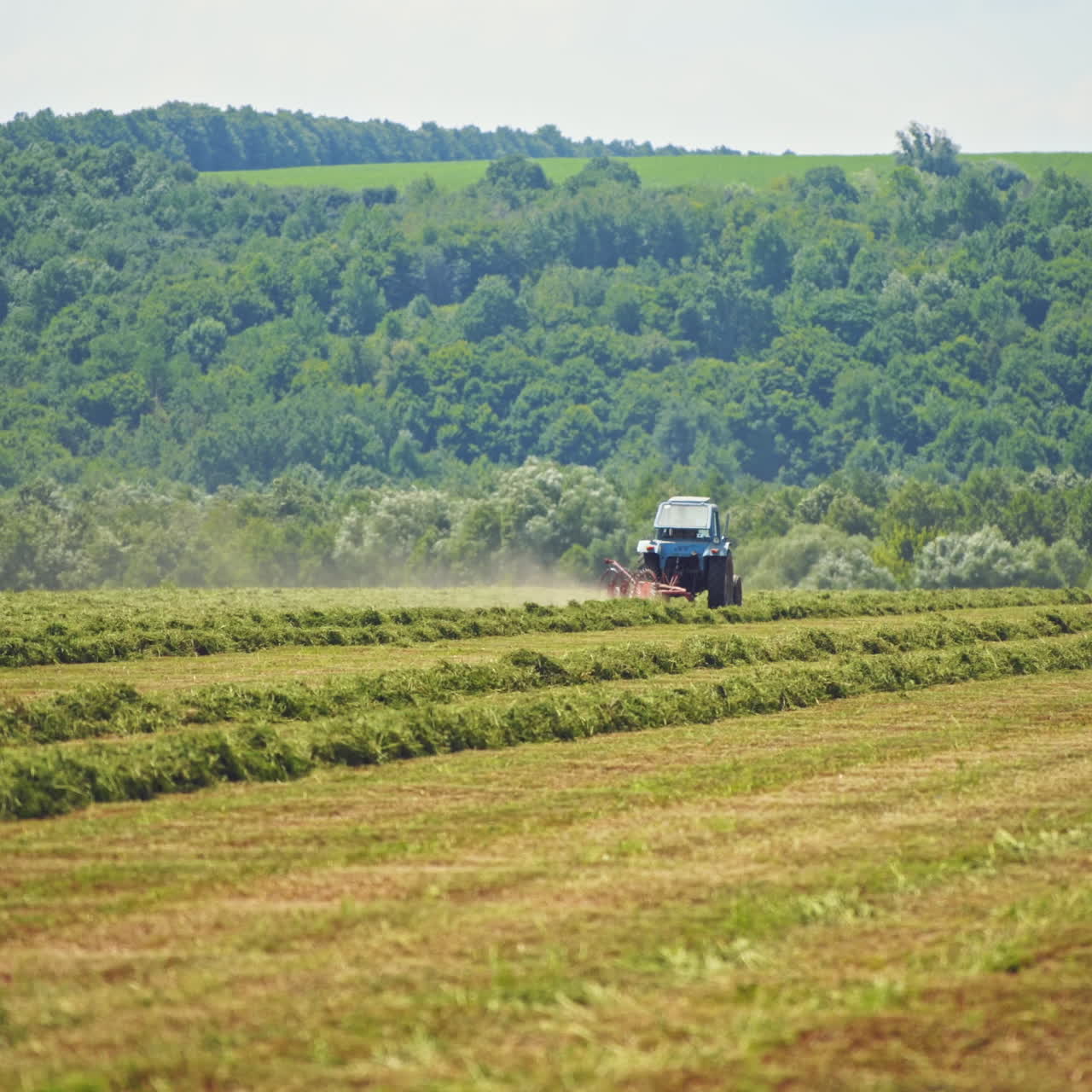 Agricultural works on the green field in summer. Tractors harvesting grass for livestock on the natural background of farmland.