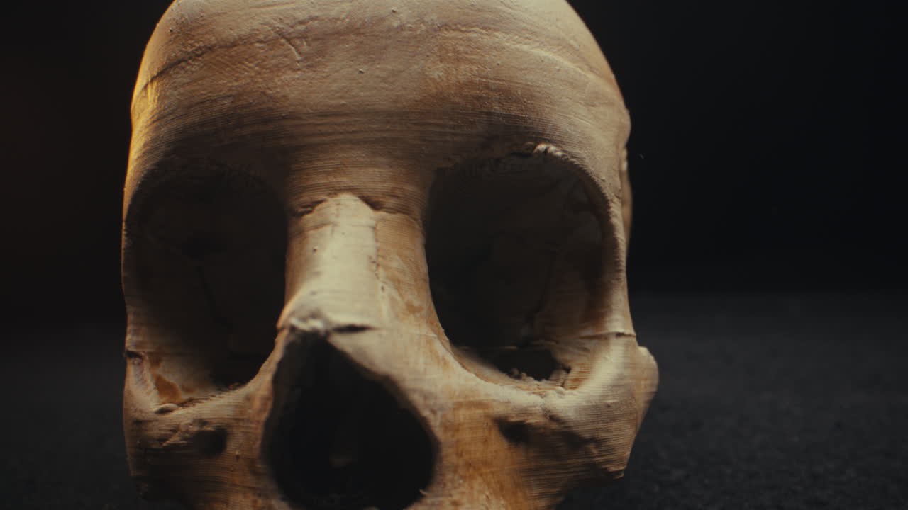 3D Printed Skull Model Closeup