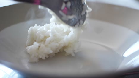 placing steamed white rice in a plate