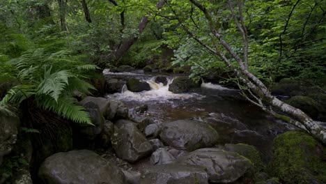 Vista-Panorámica-De-Un-Arroyo-O-Río-En-El-Bosque-En-El-Parque-Nacional-Del-Distrito-De-Los-Lagos,-Cumbria,-Inglaterra