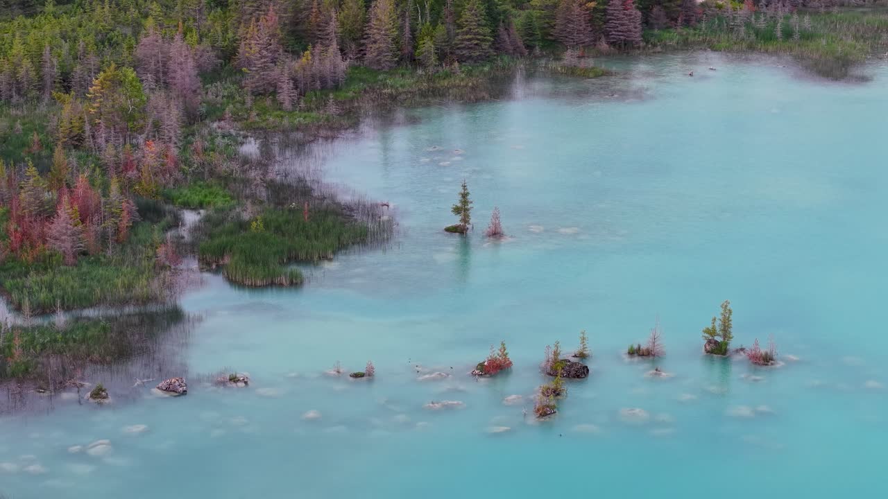 Aerial drone view of a vivid turquoise lake with submerged trees surrounded by colorful autumn forest