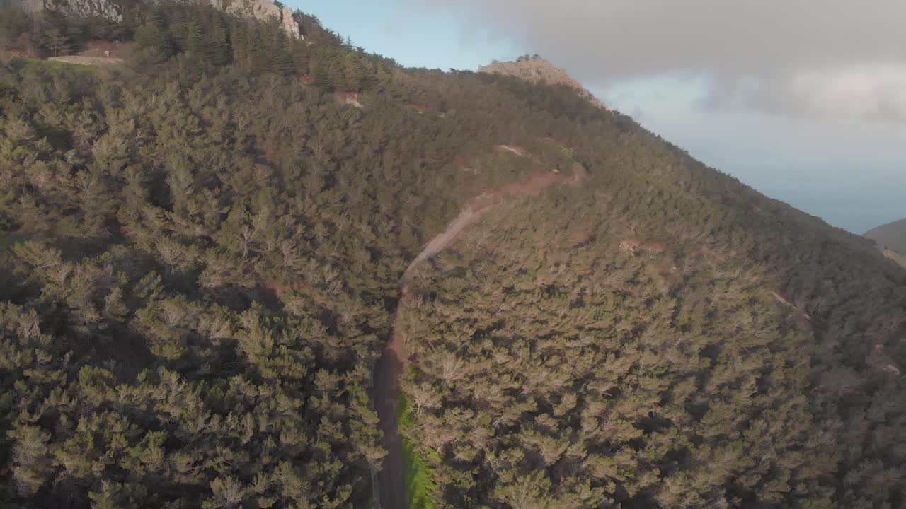 camino a través de bosques de pico do facho, portugal