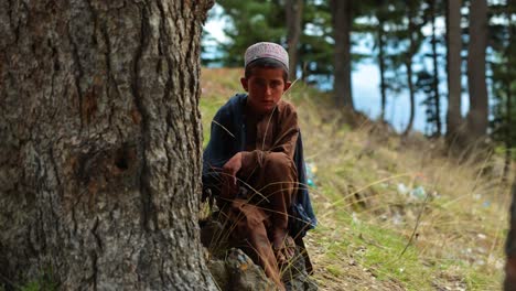 boy sitting by a tree in the forest
