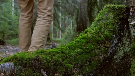 hombre pisando un tronco de árbol cubierto de musgo verde en el bosque, huella de carbono