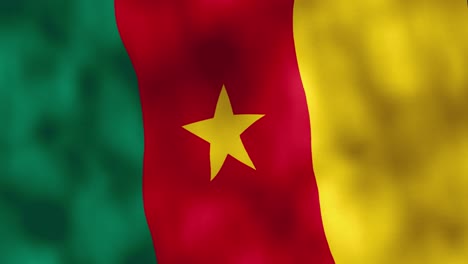 official republic tricolour cameroon flag waving animation