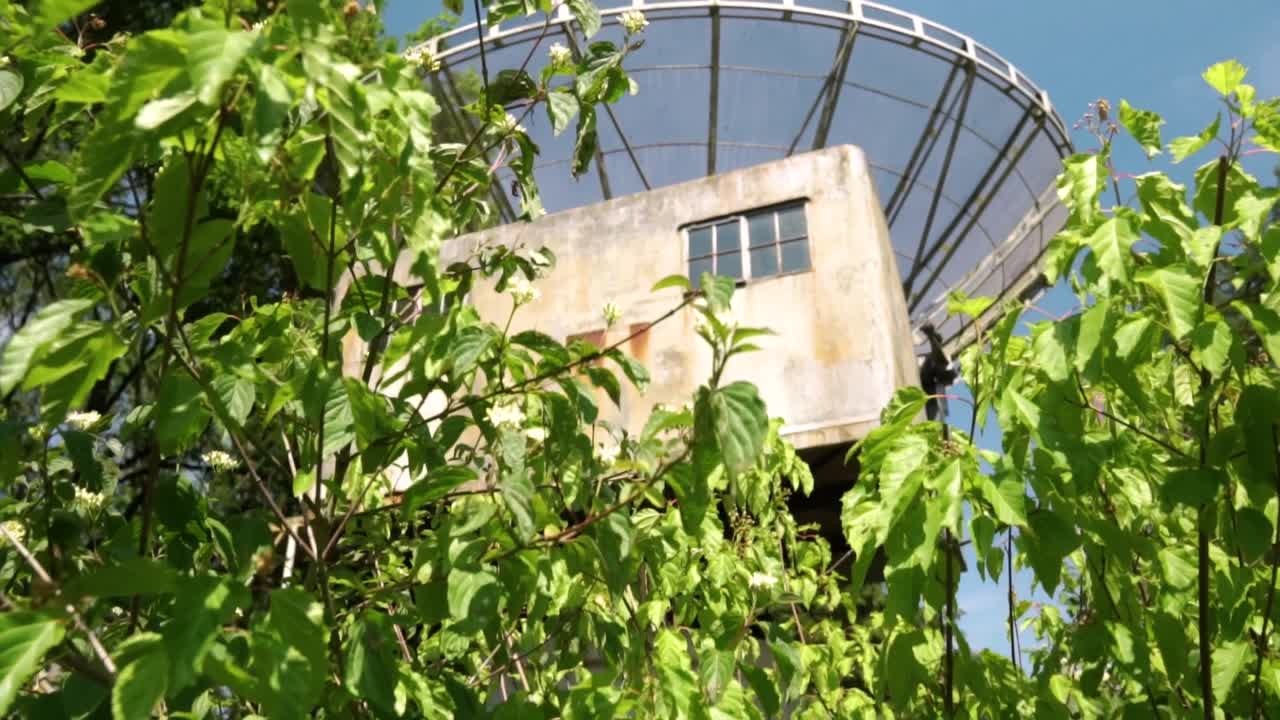 숲 속 에 버려진 라디오 망원경