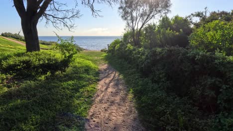 scenic walk through greenery to the beach