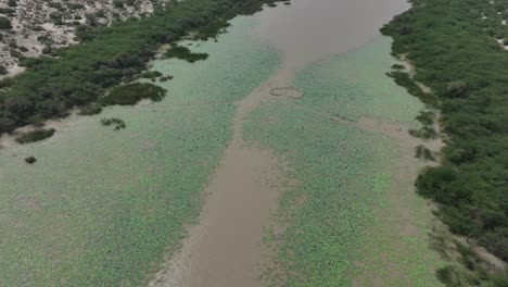 Botar-Lake-Divides-Lush-and-Arid-Lands,-Pakistan