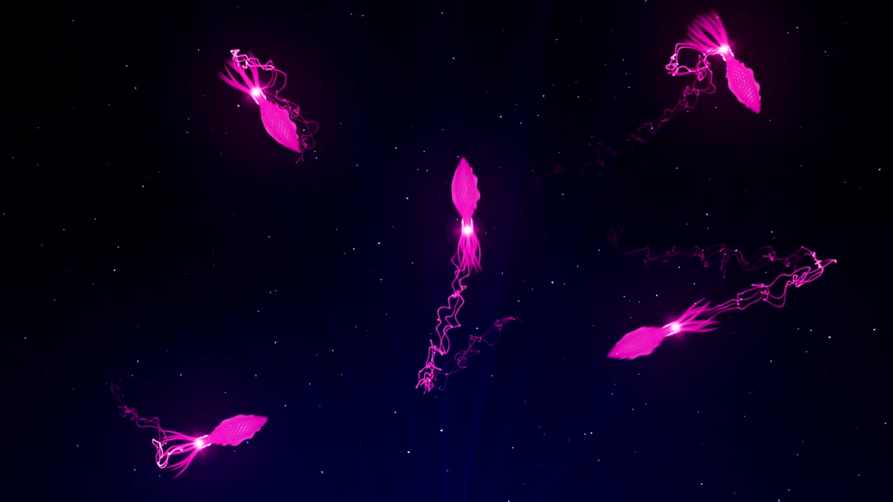 кальмар, освещенный цветным светом под водой, cg-анимация, петля