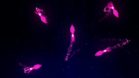calamar iluminado con luz de color en el agua, animación cg, bucle
