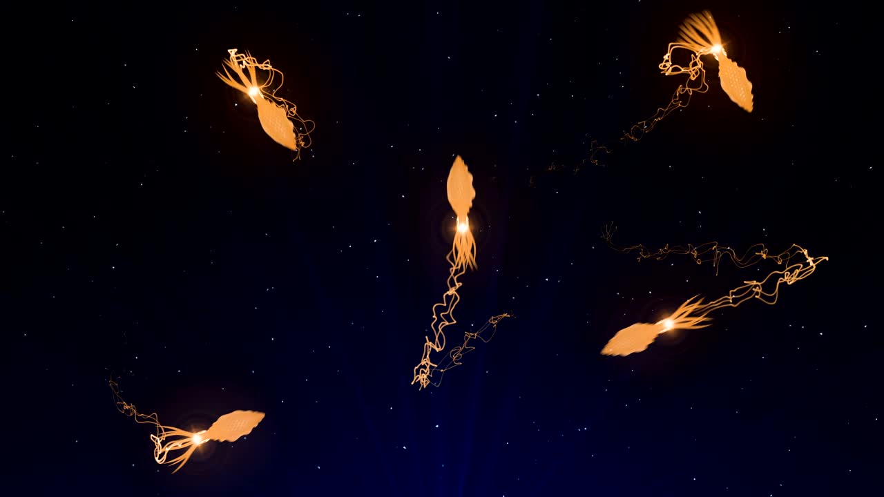 수중에서 컬러 빛으로 조명된 오징어, cg 애니메이션, 루프