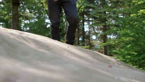 close up of hiker's legs