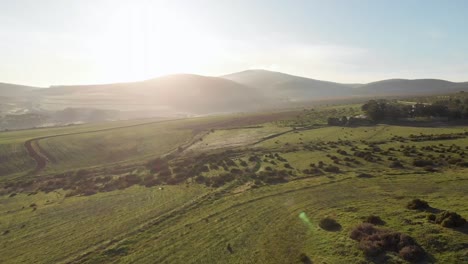 Drone-shot-of-rolling-green-countryside-and-agricultural-fields-on-sunny-day