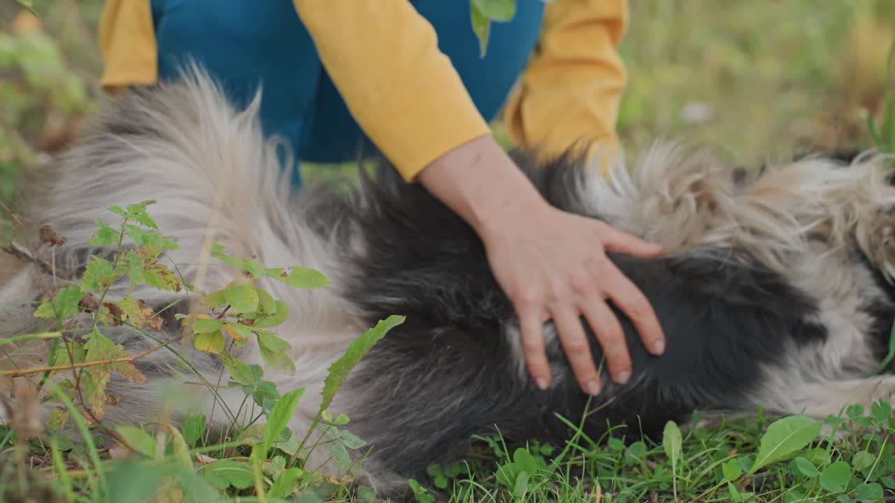 Primo piano in campeggio: la mano di una donna bianca accarezza la folta pelliccia di un cane rilassato sul terreno della foresta; le dita si muovono nel pelo, attenzione tattile, momento terapeutico calmante; muschio e fogliame verde incorniciano la scena.