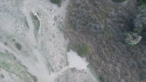 toma aérea de un dron rastreando hacia adelante a una altura media mirando hacia abajo sobre un parque de playa cubierto de hierba