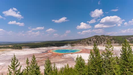 a stunning view of the vibrant grand prismatic spring in yellowstone national park, surrounded by lush pine trees and a clear blue sky with scattered clouds