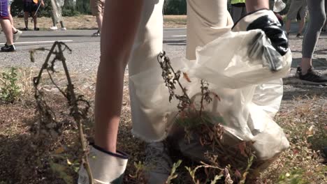 volunteers picking trash and garbage in a public road in milan italy