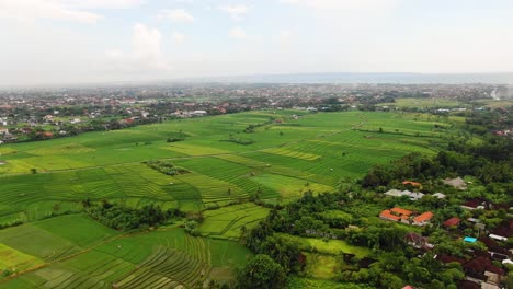 Clip-Aéreo-En-Movimiento-Lento-De-Canggu-Bali-Que-Muestra-Exuberantes-Campos-De-Arroz-Y-Una-Comunidad-Y-Grupos-De-Casas-Durante-Un-Día-Nublado