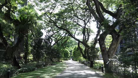 pathway with arches covered in beautiful trees ,