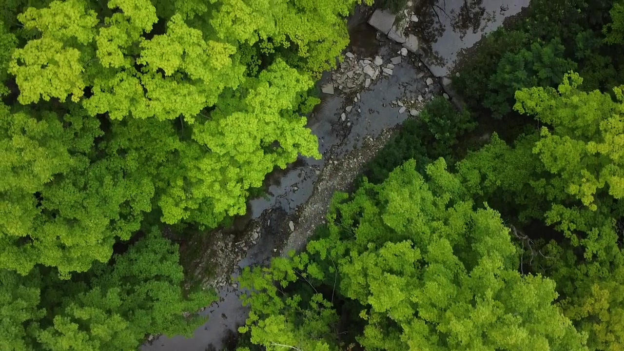 Aerial flyover dried out river surrounded by natural forest during climate change period on planet earth.
