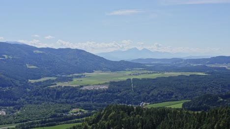 panoramic overview of dense forests in austria with mountain background - aerial view