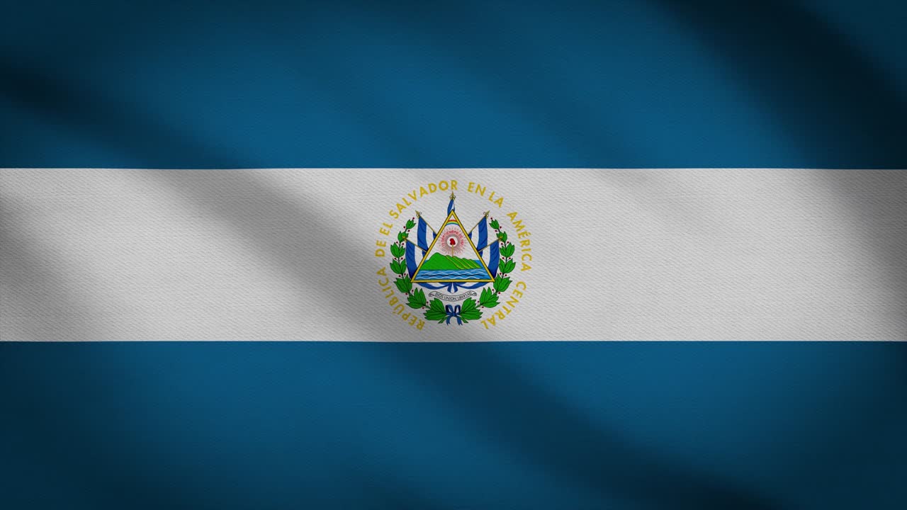 바람의 배경에 흔들리는 발