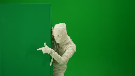 green screen isolated chroma key video capturing a mummy dancing and singing actively into the