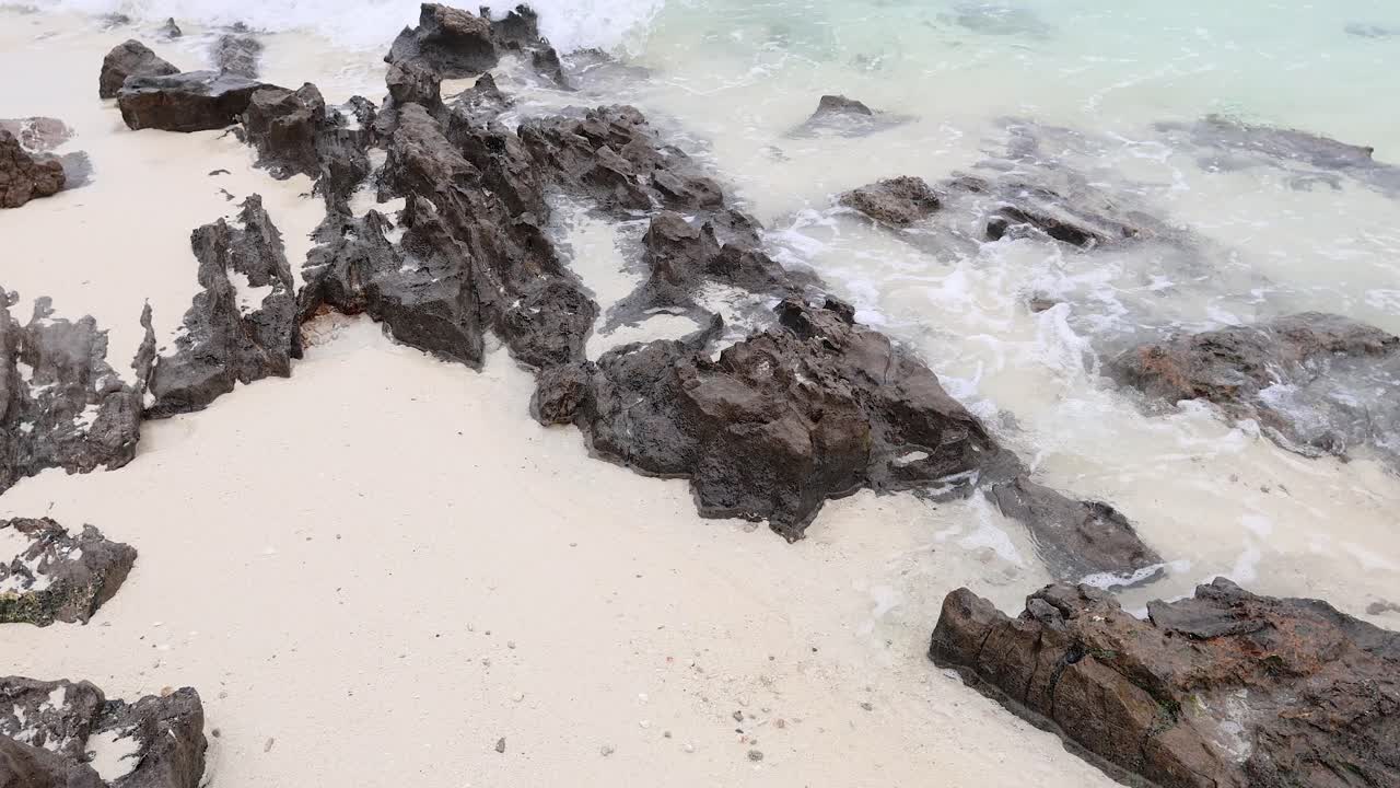 Rocky Beach with Waves