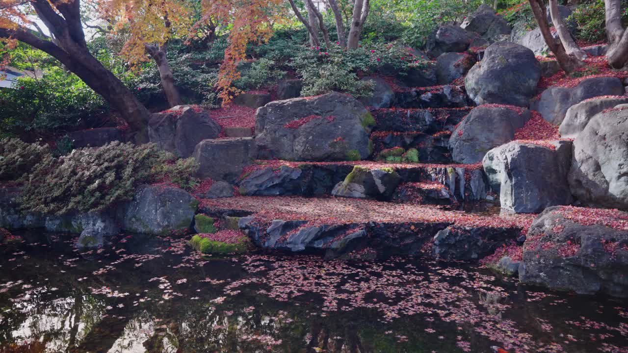 가쓰오지 사원의 가을 색의 4k 일본 코이 연못