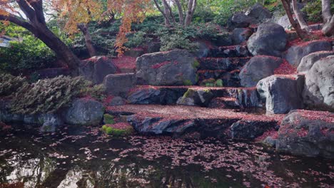 Estanque-Koi-Japonés-De-4k-En-Colores-Otoñales-En-El-Templo-Katsuoji