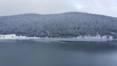 white snowy pine mountain forest by the lake in winter - aerial