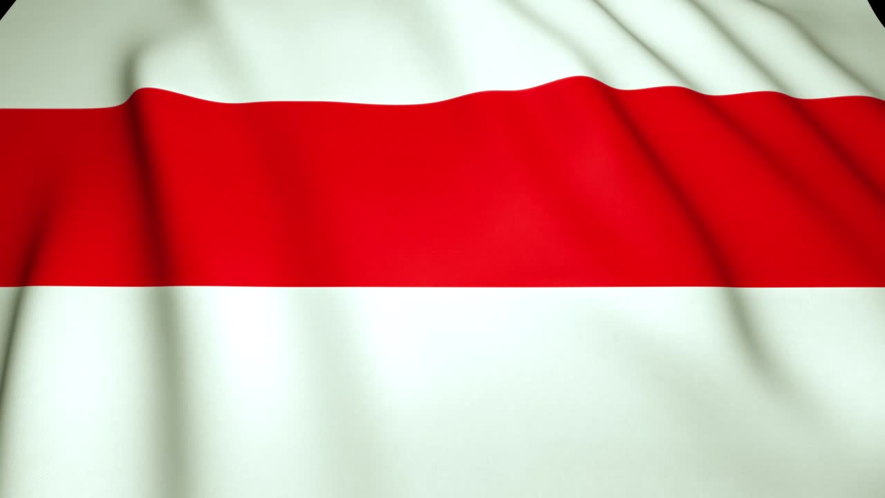 벨라루스의 시위의 상징인 현실적인 빨간색과 색 발을 흔들고, 루프 애니메이션