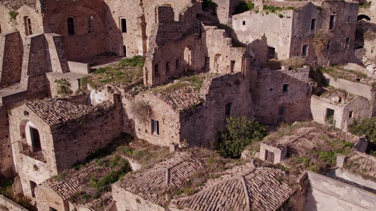 Città abbandonata con asino tra le rovine