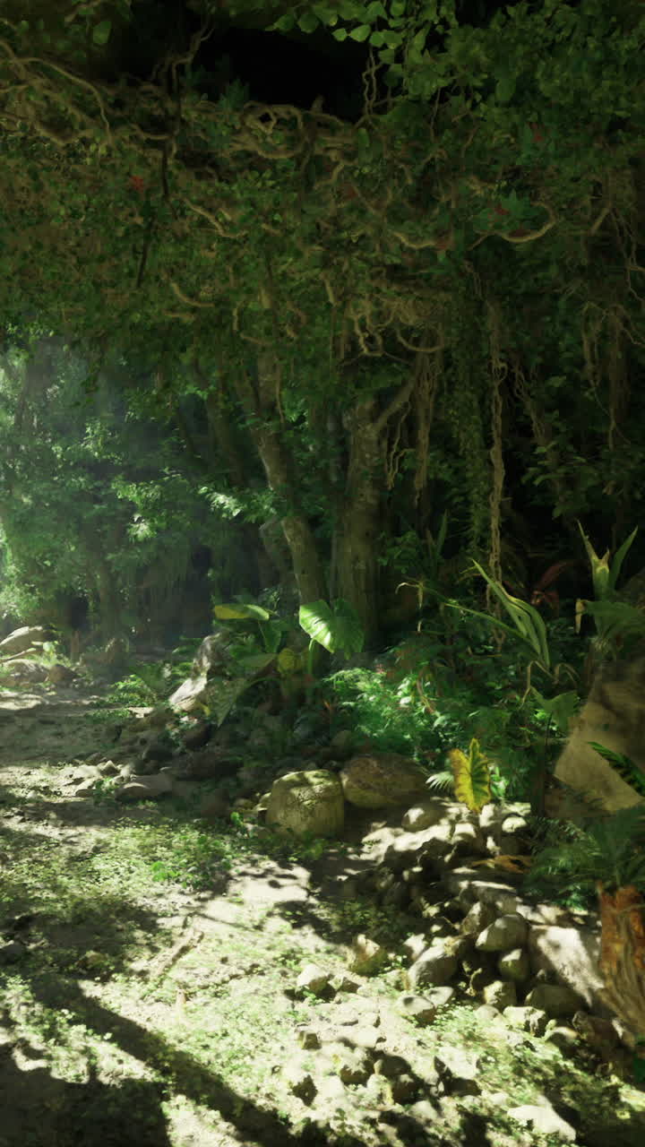 Exploring a lush green forest path illuminated by sunlight in the wilderness