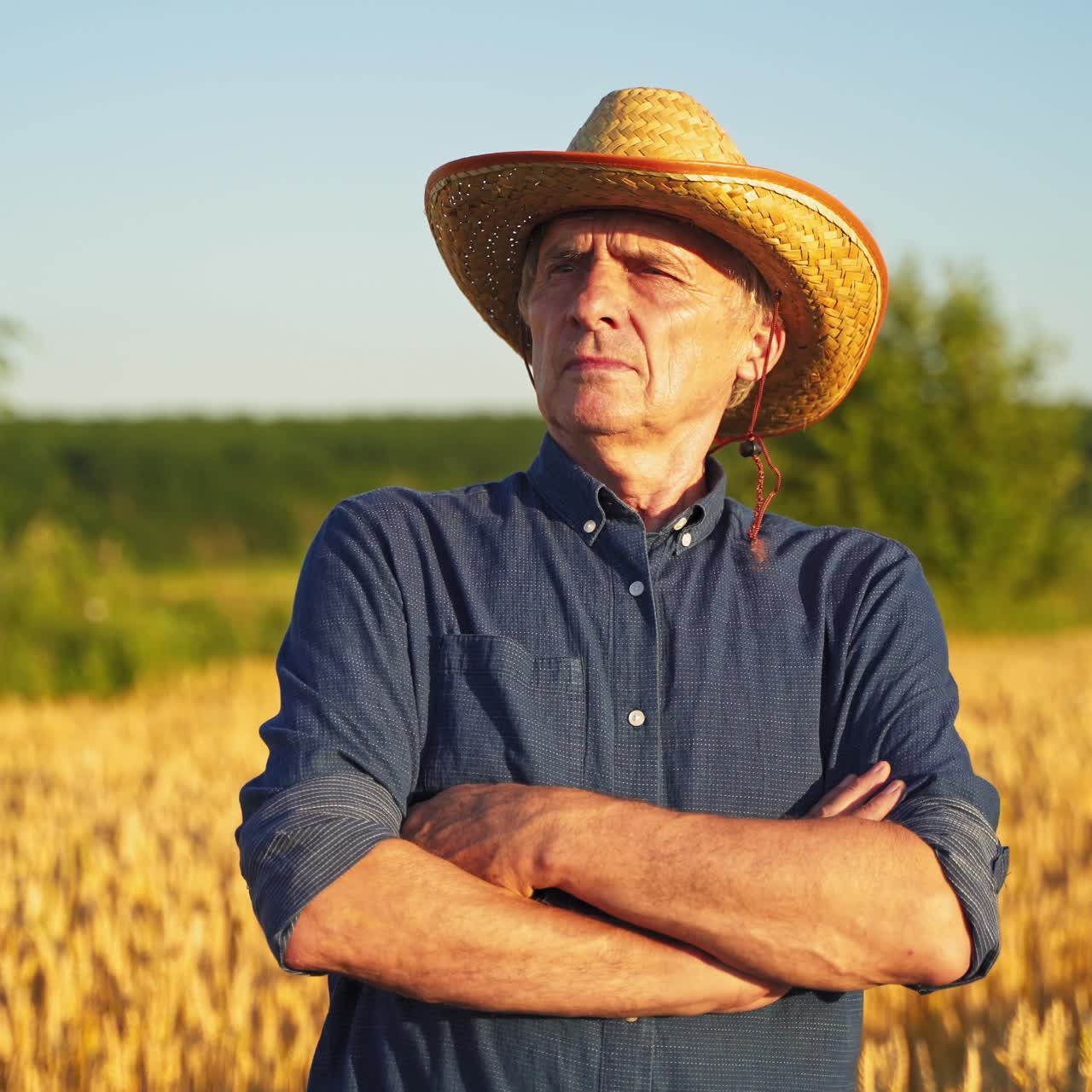 Elderly farmer in straw hat outdoors. Male agronomist stands inside the wheat field in the golden sunlight. Agriculturist inspects a field.