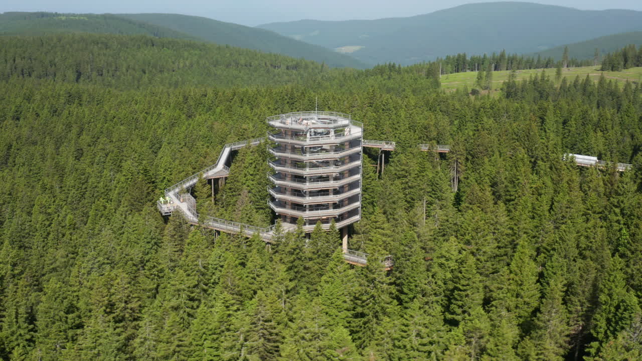 Spiral Wooden Observation Tower in a Pine Forest