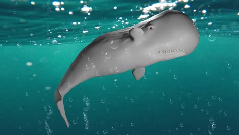 sperm whale resting near the surface of the sea