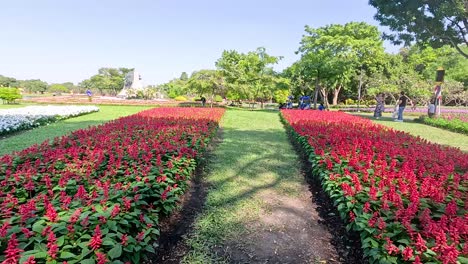 flores coloridas y vegetación en un parque de bangkok