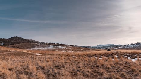 Hundreds-or-thousands-of-domesticated-sheep-grazing-in-a-desert-pasture-in-winter---zooming-time-lapse