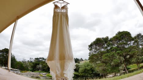 wide shot of  bride - bridesmaid wedding dress