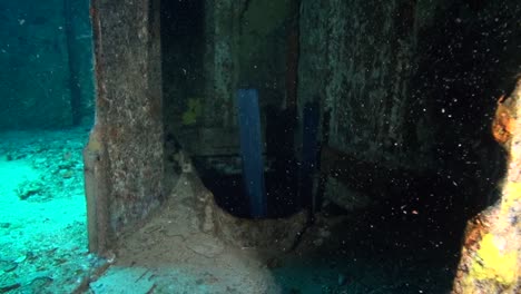 dive fins disappear down a shipwreck hatch